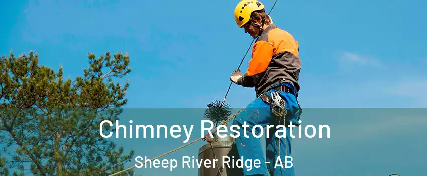  Chimney Restoration Sheep River Ridge - AB