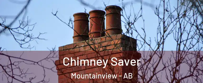  Chimney Saver Mountainview - AB