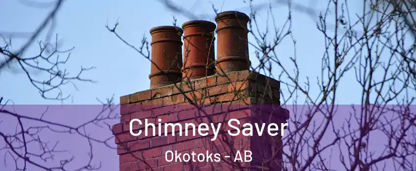  Chimney Saver Okotoks - AB