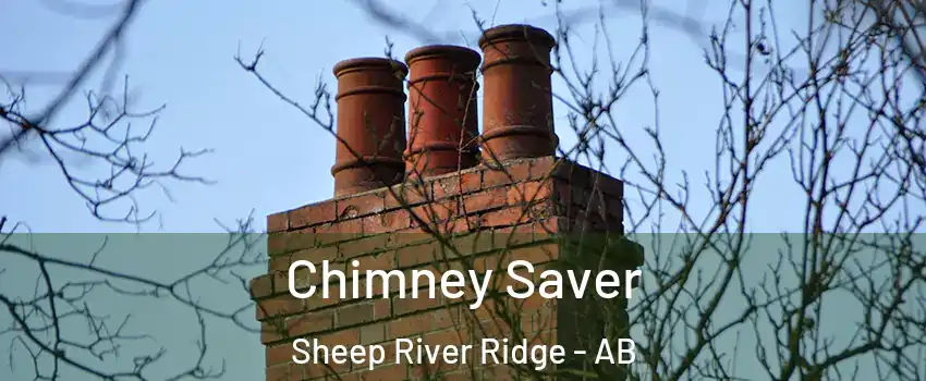  Chimney Saver Sheep River Ridge - AB