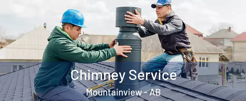  Chimney Service Mountainview - AB
