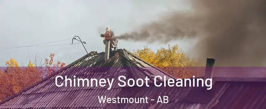  Chimney Soot Cleaning Westmount - AB