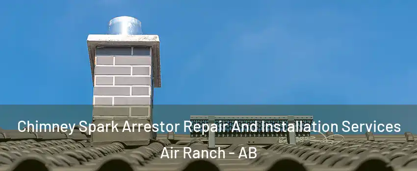  Chimney Spark Arrestor Repair And Installation Services Air Ranch - AB
