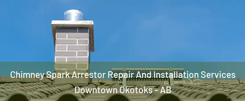 Chimney Spark Arrestor Repair And Installation Services Downtown Okotoks - AB