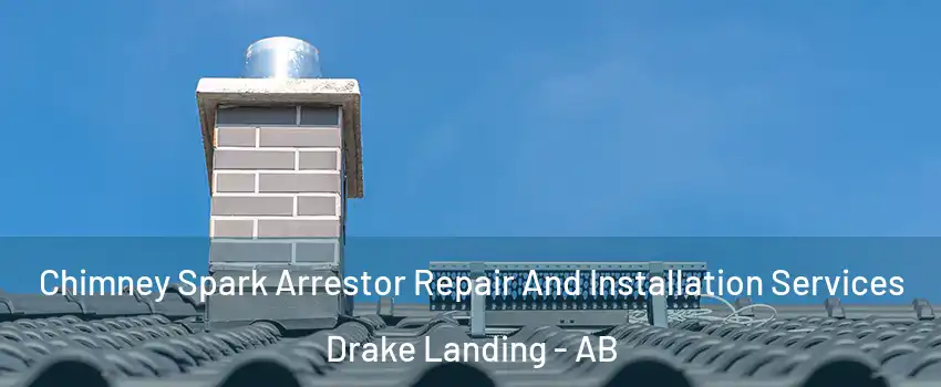  Chimney Spark Arrestor Repair And Installation Services Drake Landing - AB