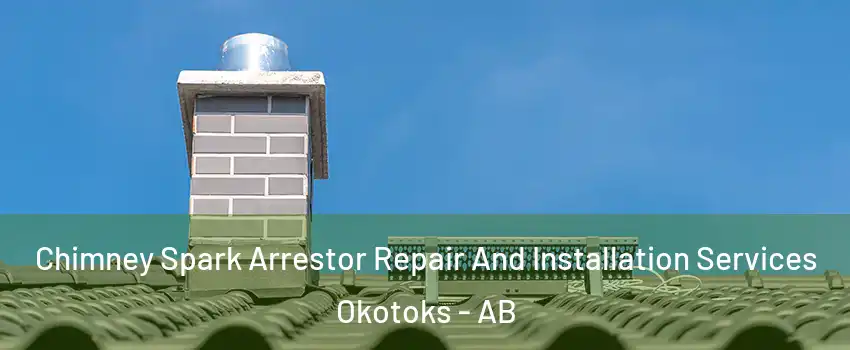  Chimney Spark Arrestor Repair And Installation Services Okotoks - AB