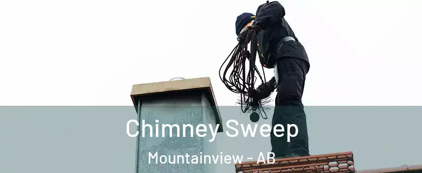  Chimney Sweep Mountainview - AB