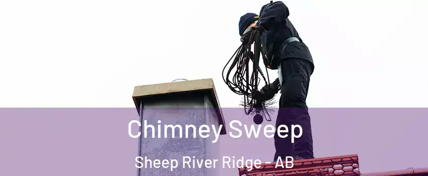  Chimney Sweep Sheep River Ridge - AB