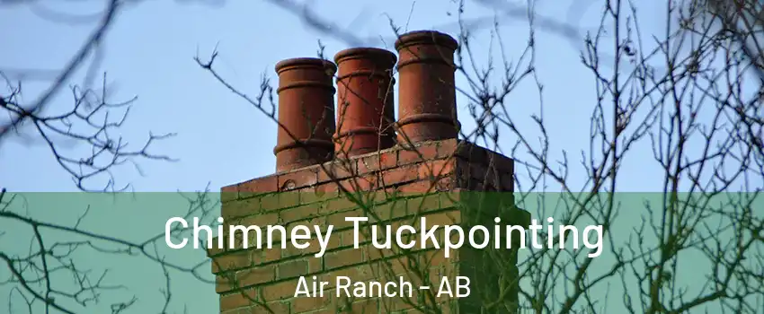  Chimney Tuckpointing Air Ranch - AB