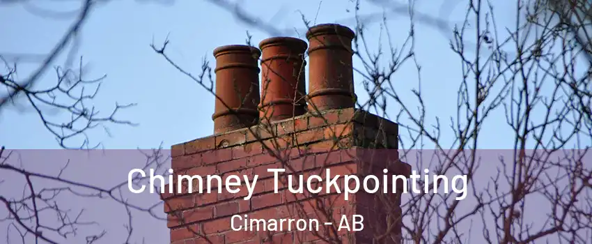  Chimney Tuckpointing Cimarron - AB