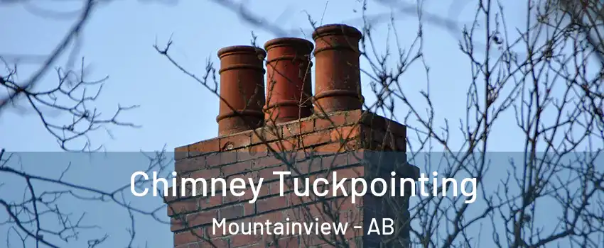  Chimney Tuckpointing Mountainview - AB