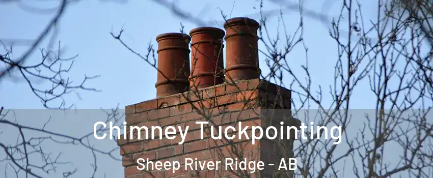  Chimney Tuckpointing Sheep River Ridge - AB