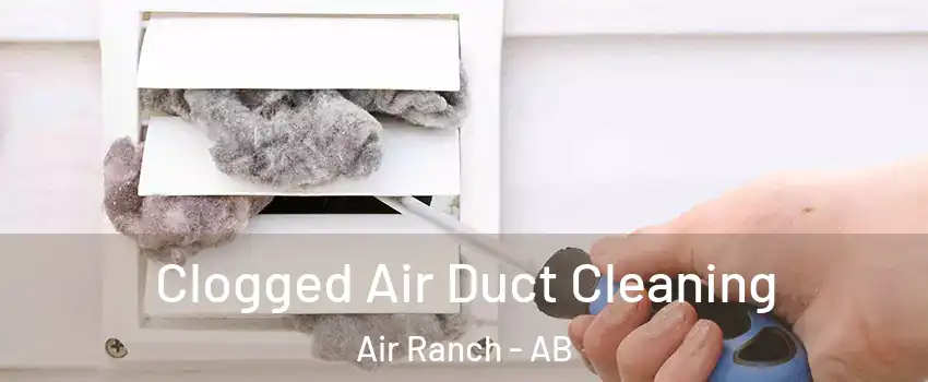  Clogged Air Duct Cleaning Air Ranch - AB