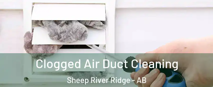  Clogged Air Duct Cleaning Sheep River Ridge - AB