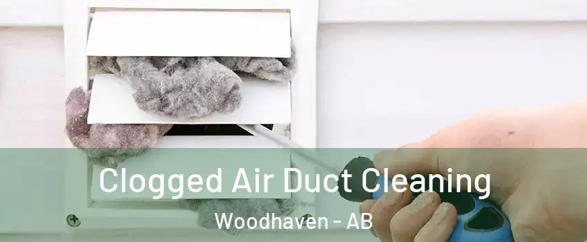  Clogged Air Duct Cleaning Woodhaven - AB