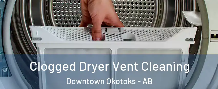  Clogged Dryer Vent Cleaning Downtown Okotoks - AB
