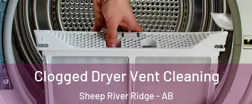  Clogged Dryer Vent Cleaning Sheep River Ridge - AB