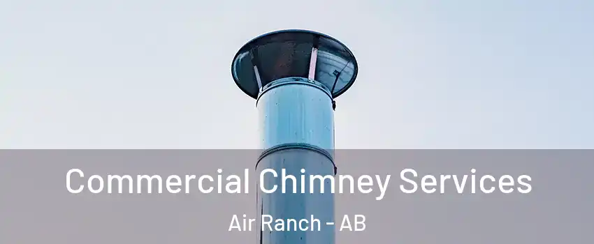  Commercial Chimney Services Air Ranch - AB