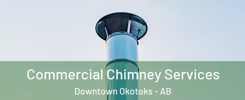  Commercial Chimney Services Downtown Okotoks - AB