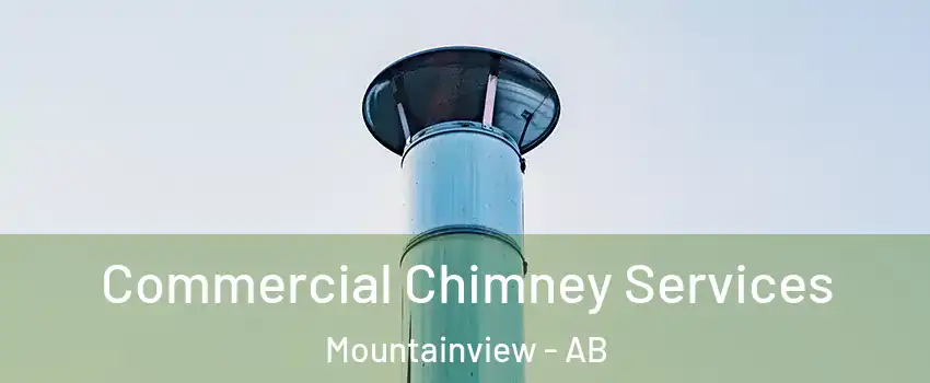  Commercial Chimney Services Mountainview - AB