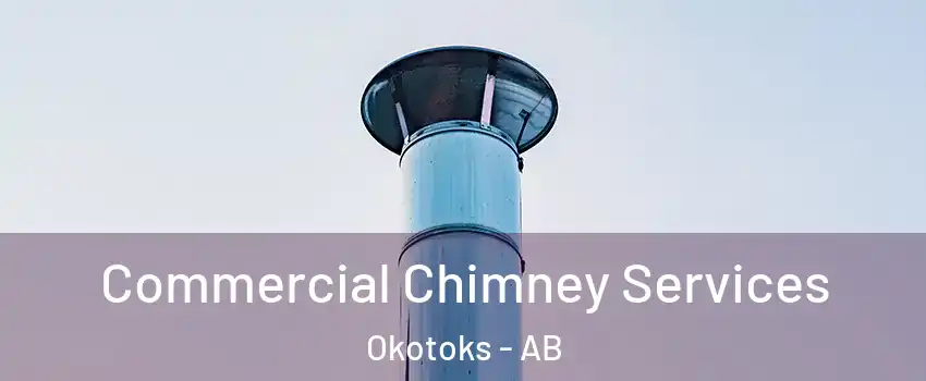  Commercial Chimney Services Okotoks - AB