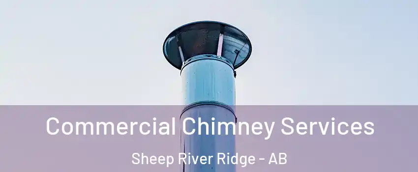  Commercial Chimney Services Sheep River Ridge - AB