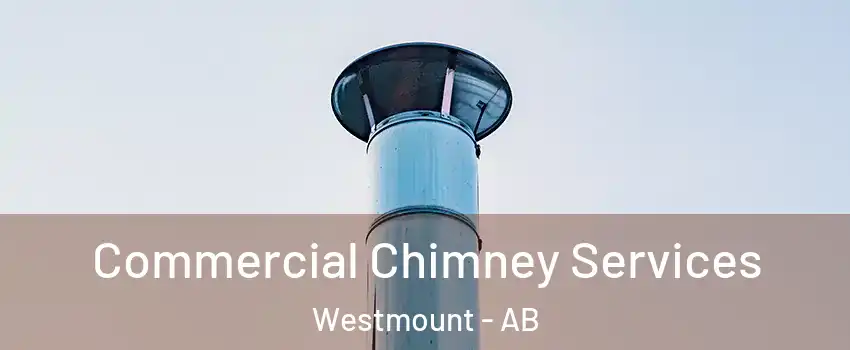  Commercial Chimney Services Westmount - AB