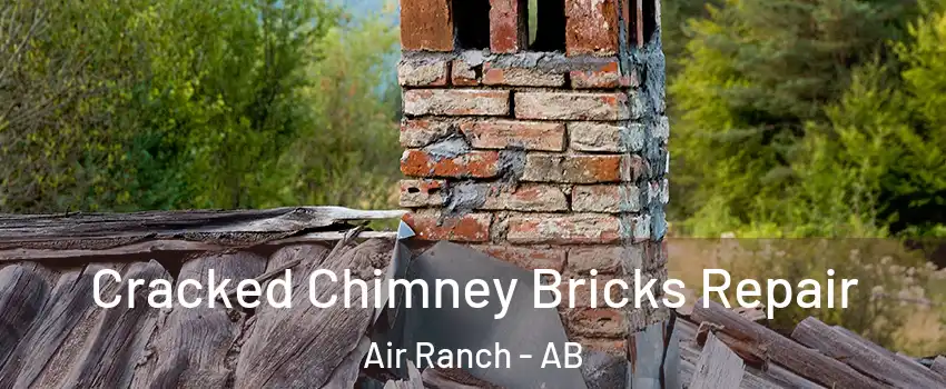  Cracked Chimney Bricks Repair Air Ranch - AB