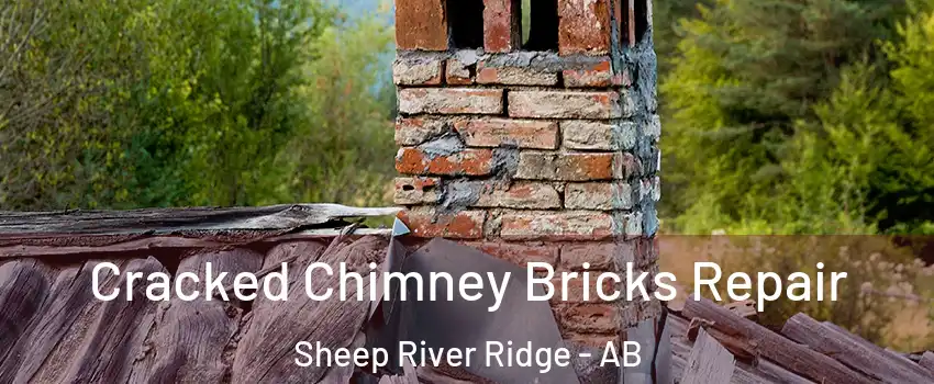  Cracked Chimney Bricks Repair Sheep River Ridge - AB