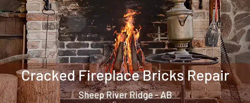  Cracked Fireplace Bricks Repair Sheep River Ridge - AB