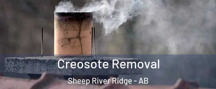  Creosote Removal Sheep River Ridge - AB