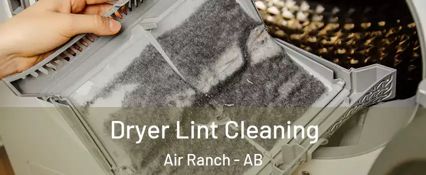  Dryer Lint Cleaning Air Ranch - AB