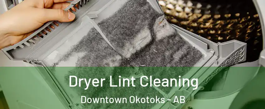  Dryer Lint Cleaning Downtown Okotoks - AB