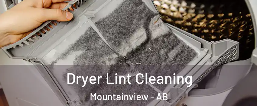  Dryer Lint Cleaning Mountainview - AB