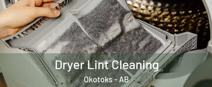  Dryer Lint Cleaning Okotoks - AB