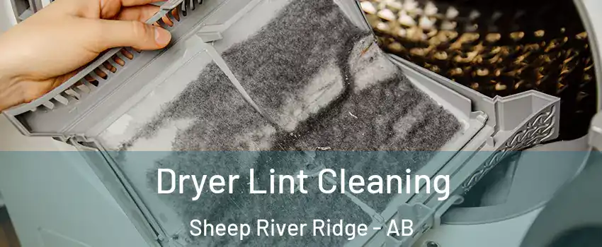  Dryer Lint Cleaning Sheep River Ridge - AB