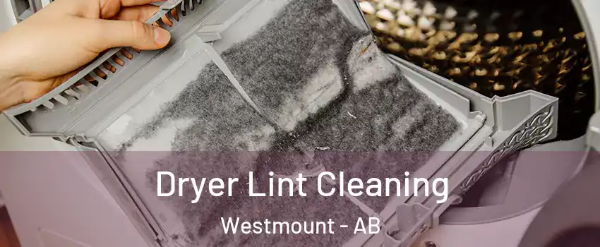  Dryer Lint Cleaning Westmount - AB