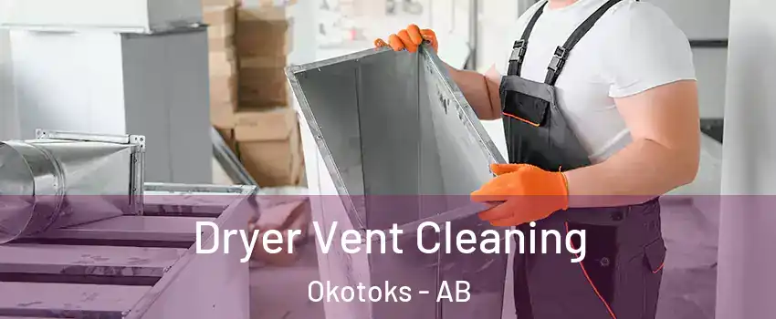  Dryer Vent Cleaning Okotoks - AB