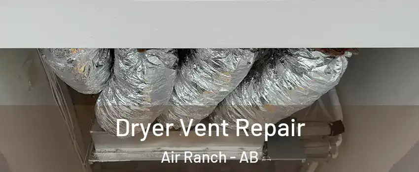  Dryer Vent Repair Air Ranch - AB