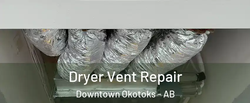  Dryer Vent Repair Downtown Okotoks - AB