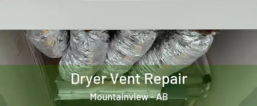  Dryer Vent Repair Mountainview - AB