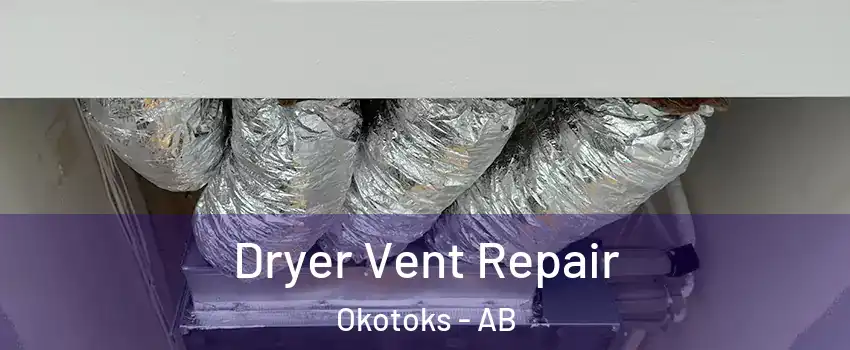  Dryer Vent Repair Okotoks - AB