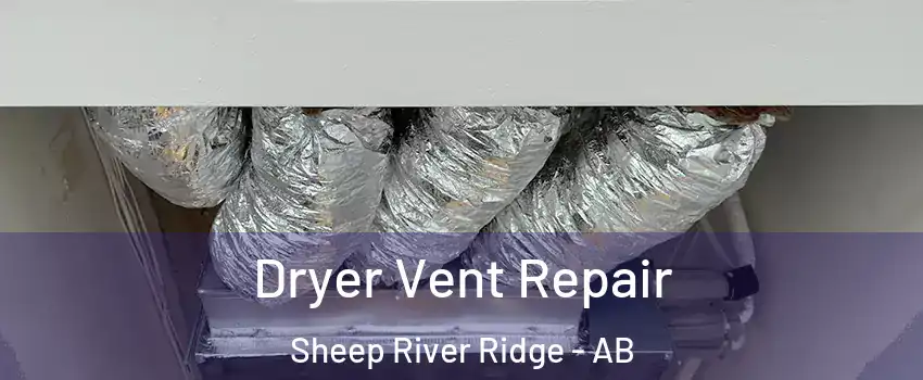  Dryer Vent Repair Sheep River Ridge - AB