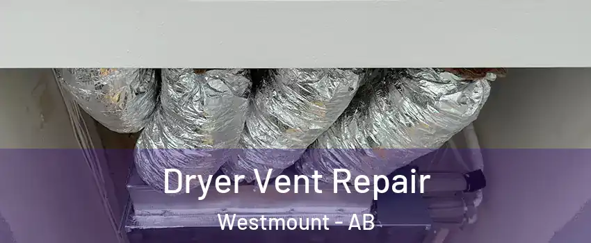  Dryer Vent Repair Westmount - AB