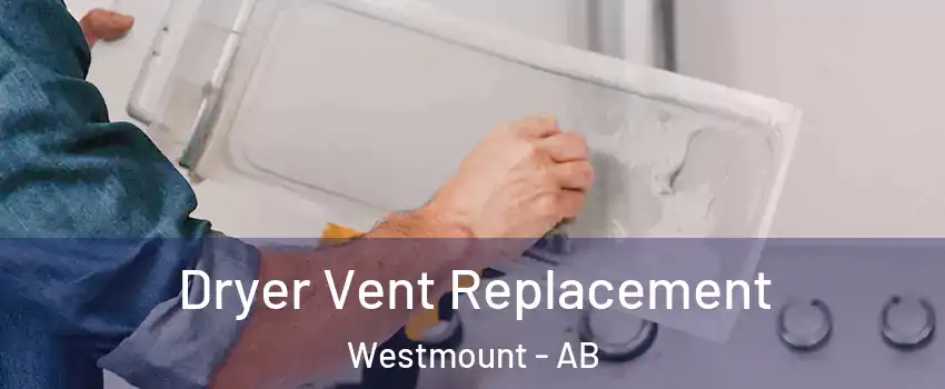  Dryer Vent Replacement Westmount - AB