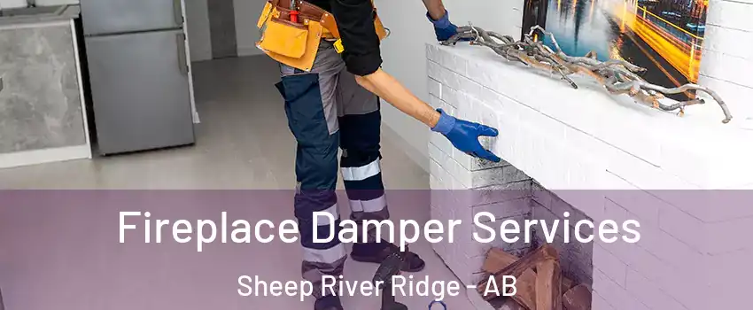 Fireplace Damper Services Sheep River Ridge - AB