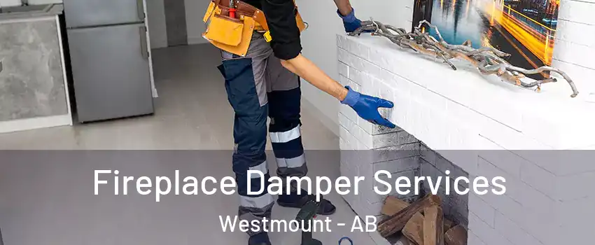  Fireplace Damper Services Westmount - AB