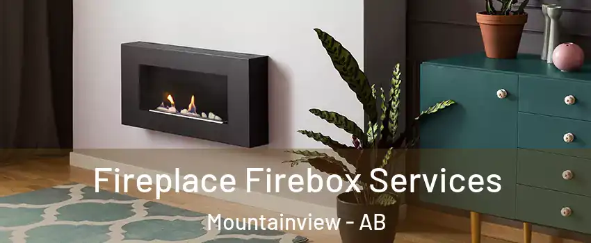  Fireplace Firebox Services Mountainview - AB