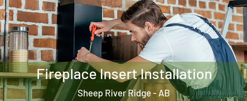  Fireplace Insert Installation Sheep River Ridge - AB