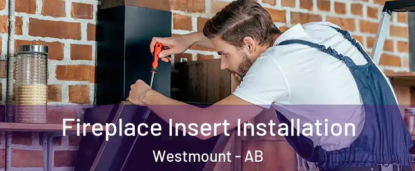  Fireplace Insert Installation Westmount - AB